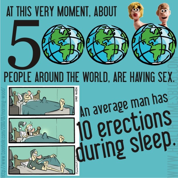 Fun Sex Facts